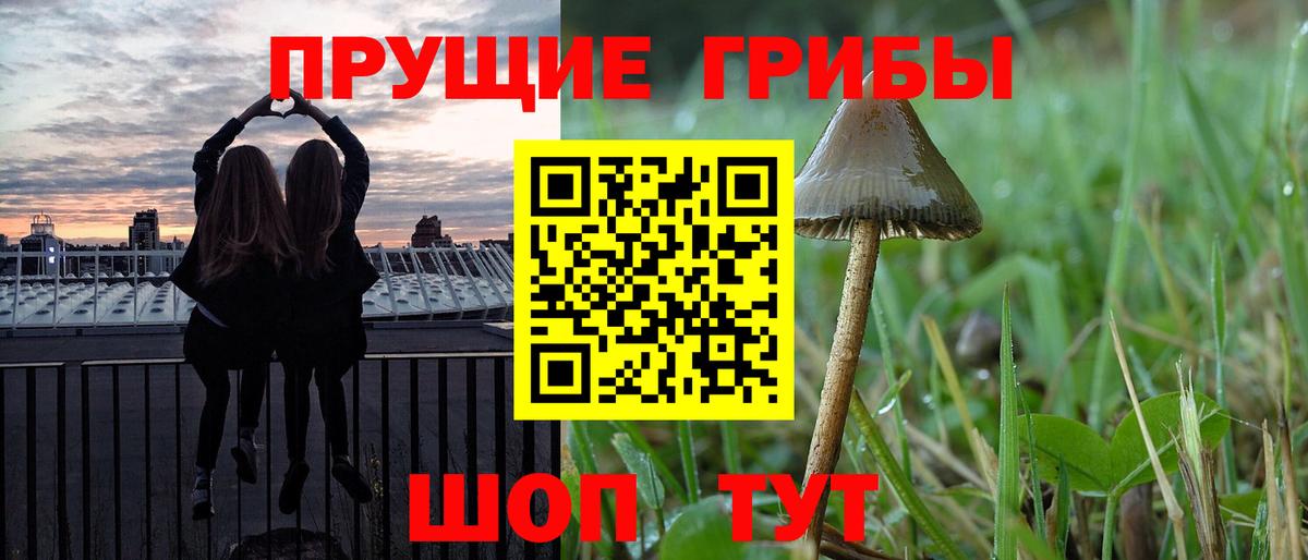 Псилоцибиновые грибы мицелий  Галлюциногенные грибы прущие грибы  купить закладку  Вход с VPN  Альметьевск 